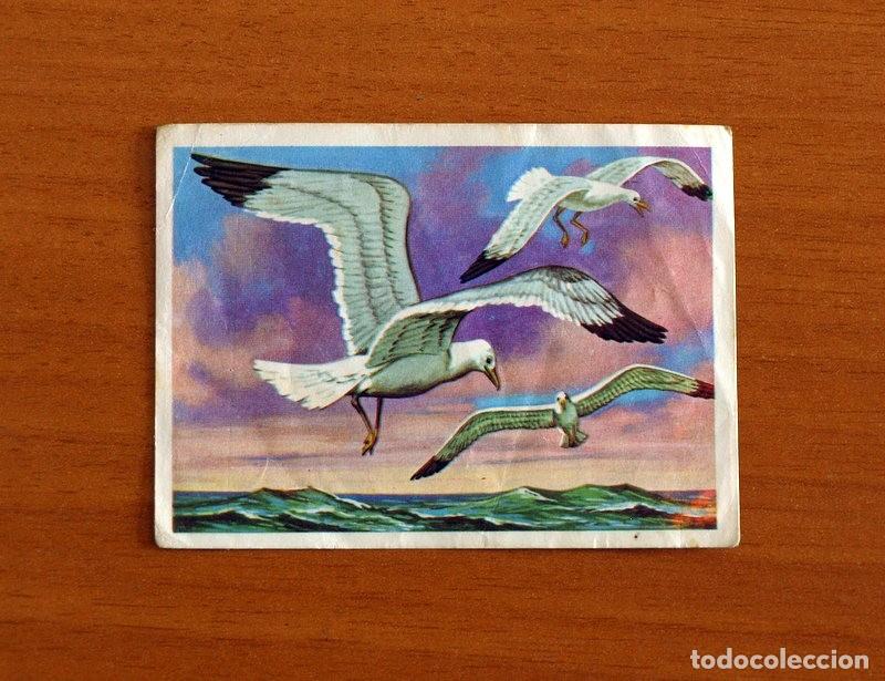 Coleccionismo Cromos antiguos: El M&aacute;s y el Menos - N&ordm; 90 Aves de Vuelo Alto -Editorial Ruiz Romero A&ntilde;o 1975 -Cromo Nunca Pegado