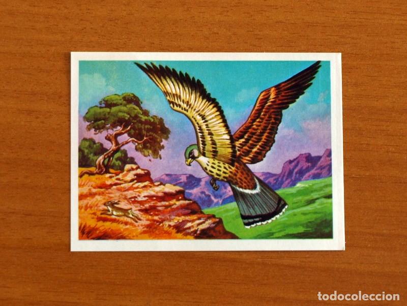 Coleccionismo Cromos antiguos: El M&aacute;s y el Menos - N&ordm; 94 El Halc&oacute;n -Editorial Ruiz Romero A&ntilde;o 1975 -Cromo Nunca Pegado