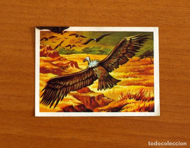 Coleccionismo Cromos antiguos: El M&aacute;s y el Menos - N&ordm; 95 Visi&oacute;n Extraordinaria -Editorial Ruiz Romero A&ntilde;o 1975 -Cromo Nunca Pegado