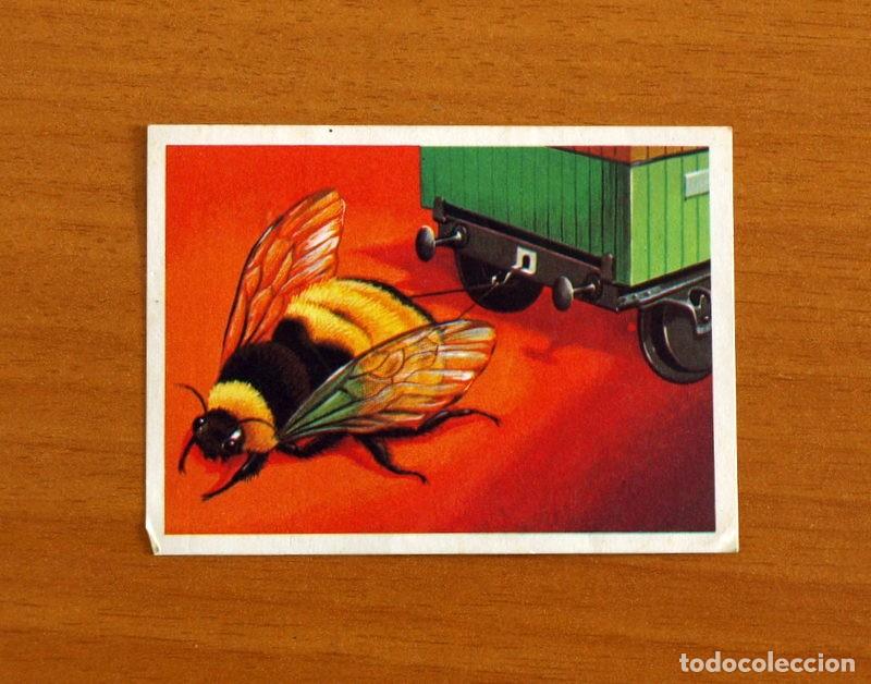 Coleccionismo Cromos antiguos: El M&aacute;s y el Menos - N&ordm; 103 Insecto -Editorial Ruiz Romero A&ntilde;o 1975 -Cromo Nunca Pegado
