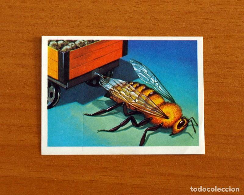 Coleccionismo Cromos antiguos: El M&aacute;s y el Menos - N&ordm; 104 Abeja -Editorial Ruiz Romero A&ntilde;o 1975 -Cromo Nunca Pegado