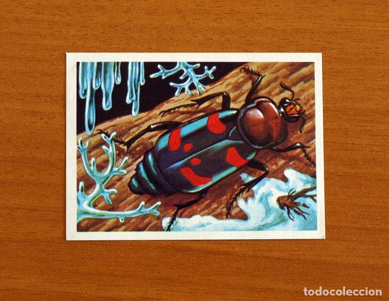 Coleccionismo Cromos antiguos: El M&aacute;s y el Menos - N&ordm; 106 Insectos -Editorial Ruiz Romero A&ntilde;o 1975 -Cromo Nunca Pegado