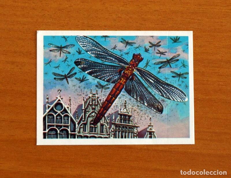 Coleccionismo Cromos antiguos: El M&aacute;s y el Menos - N&ordm; 108 Insectos -Editorial Ruiz Romero A&ntilde;o 1975 -Cromo Nunca Pegado