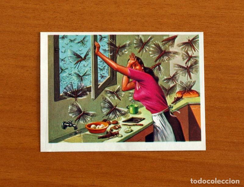 Coleccionismo Cromos antiguos: El M&aacute;s y el Menos - N&ordm; 110 Insectos Invasores -Editorial Ruiz Romero A&ntilde;o 1975 -Cromo Nunca Pegado