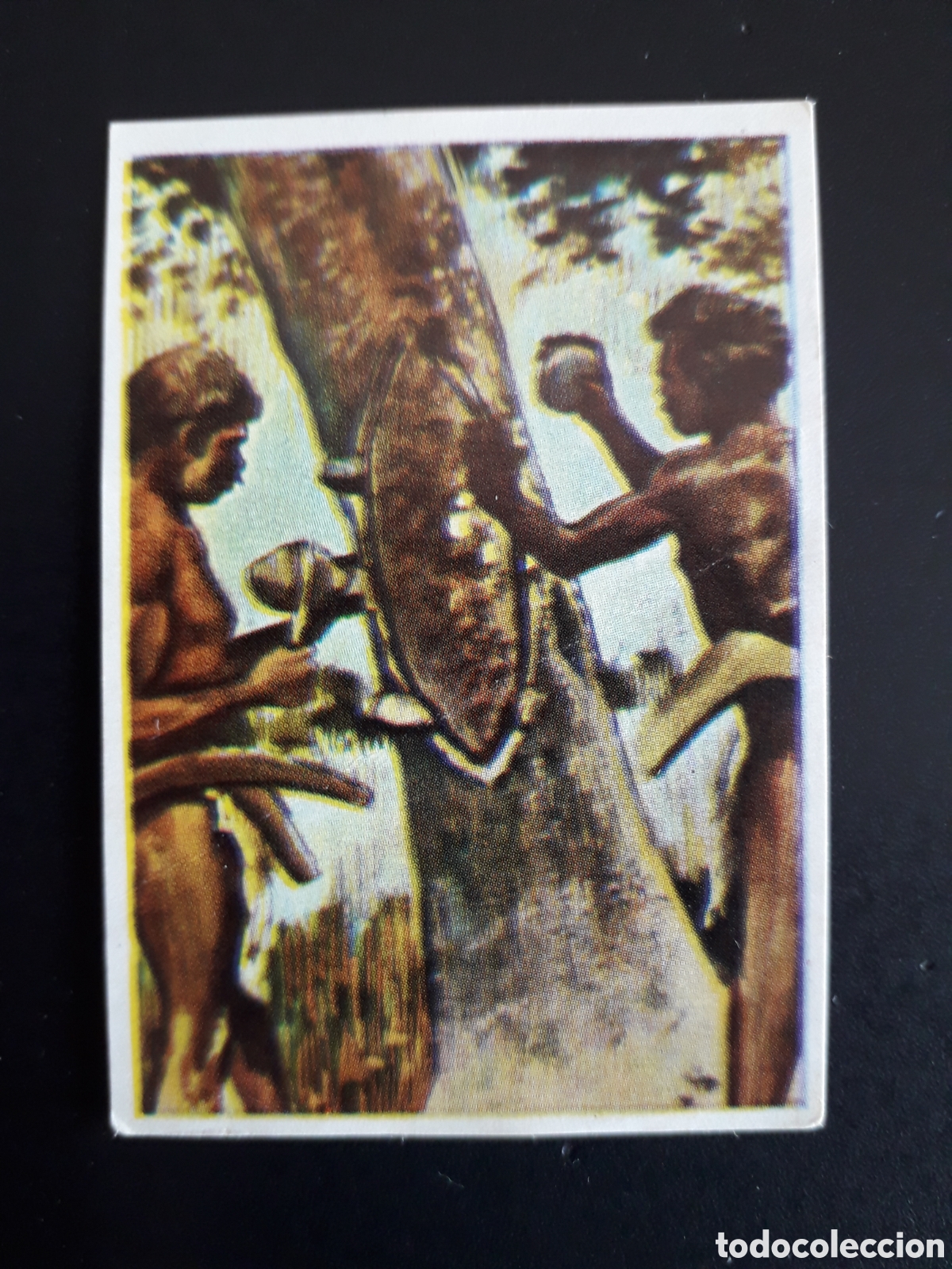 Coleccionismo Cromos antiguos: ESCUDOS AUSTRALIANOS RAZAS HUMANAS N&deg; 19 CHOCOLATES ELGORRIAGA 1968 SIN PEGAR, PEDIDO M&Iacute;NIMO 3&euro;