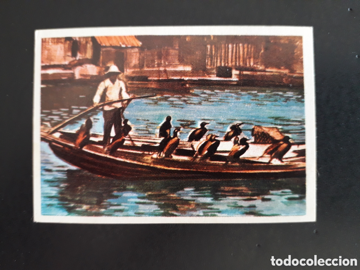 Coleccionismo Cromos antiguos: CURIOSA PESCA RAZAS HUMANAS N&deg; 35 CHOCOLATES ELGORRIAGA 1968 SIN PEGAR, PEDIDO M&Iacute;NIMO 3&euro;