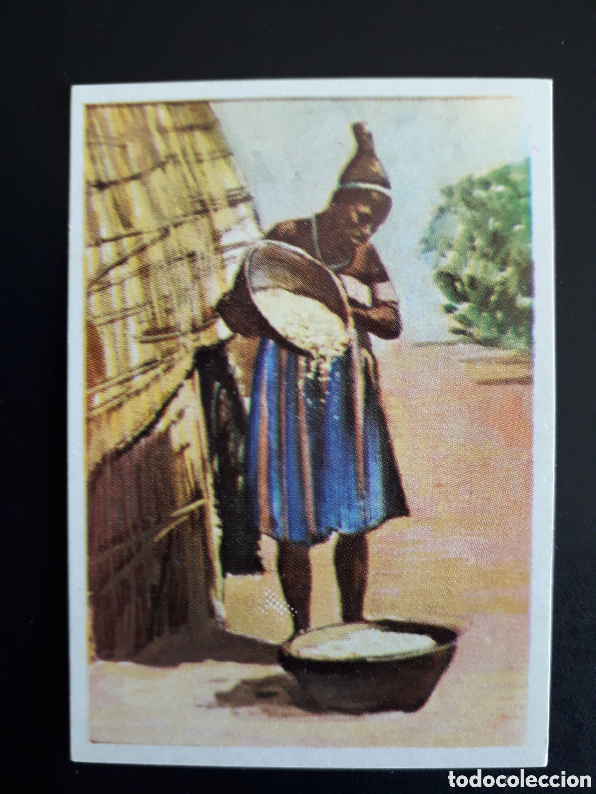 Coleccionismo Cromos antiguos: TRABAJOS DOM&Eacute;STICOS, RAZAS HUMANAS N&deg; 169 CHOCOLATES ELGORRIAGA 1968 SIN PEGAR, PEDIDO M&Iacute;NIMO 3&euro;