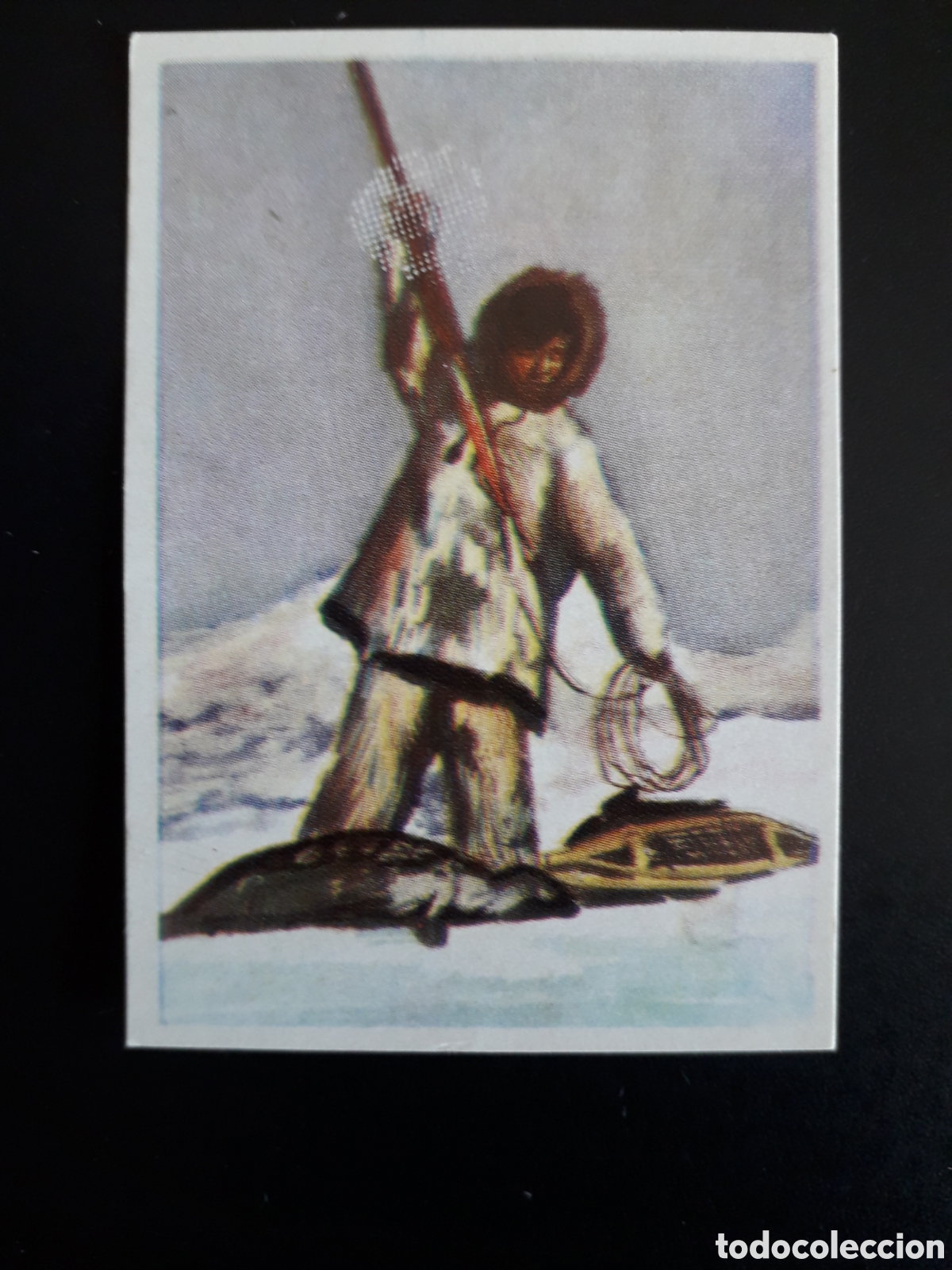Coleccionismo Cromos antiguos: LA CAZA DE LA FOCA, RAZAS HUMANAS N&deg; 184 CHOCOLATES ELGORRIAGA 1968 SIN PEGAR, PEDIDO M&Iacute;NIMO 3&euro;