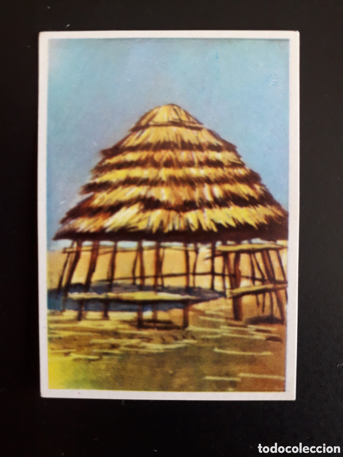 Coleccionismo Cromos antiguos: VIVIENDA AFRICANA, RAZAS HUMANAS N&deg; 175 CHOCOLATES ELGORRIAGA 1968 SIN PEGAR, PEDIDO M&Iacute;NIMO 3&euro;