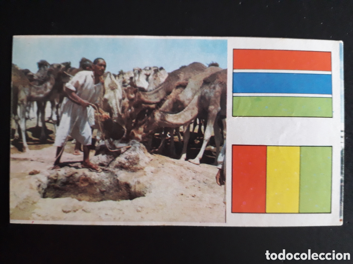 Coleccionismo Cromos antiguos: BEDUINOS Y CAMELLOS, &Aacute;FRICA EL MUNDO CONTINENTES, BANDERAS N&deg; 15 LECHE RAM SIN PEG PEDIDO M&Iacute;NIMO 3&euro;
