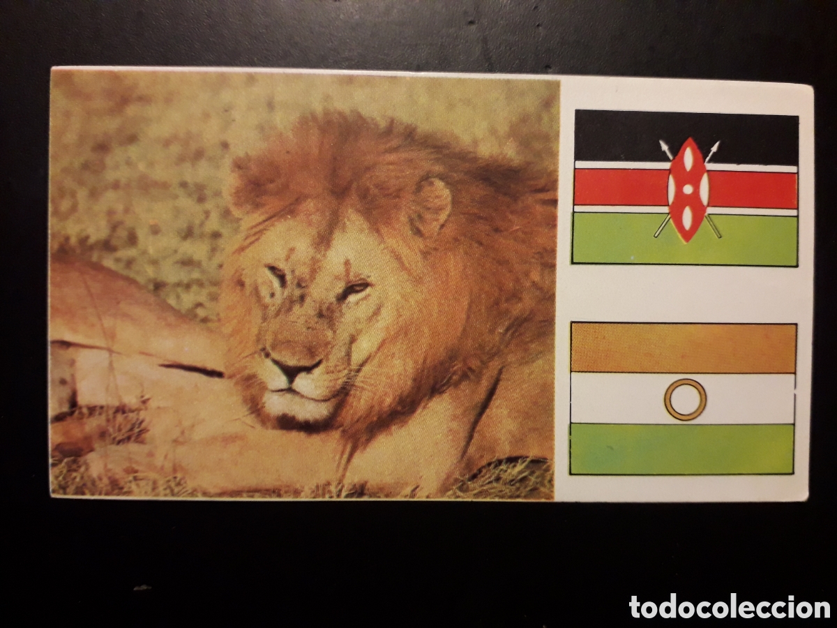 Coleccionismo Cromos antiguos: LE&Oacute;N, &Aacute;FRICA EL MUNDO CONTINENTES, BANDERAS N&deg; 39 LECHE RAM SIN PEGAR, PEDIDO M&Iacute;NIMO 3&euro;