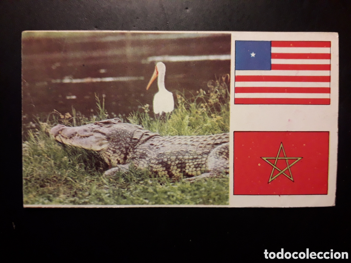 Coleccionismo Cromos antiguos: COCODRILO, &Aacute;FRICA EL MUNDO CONTINENTES, BANDERAS N&deg; 41 LECHE RAM SIN PEGAR, PEDIDO M&Iacute;NIMO 3&euro;