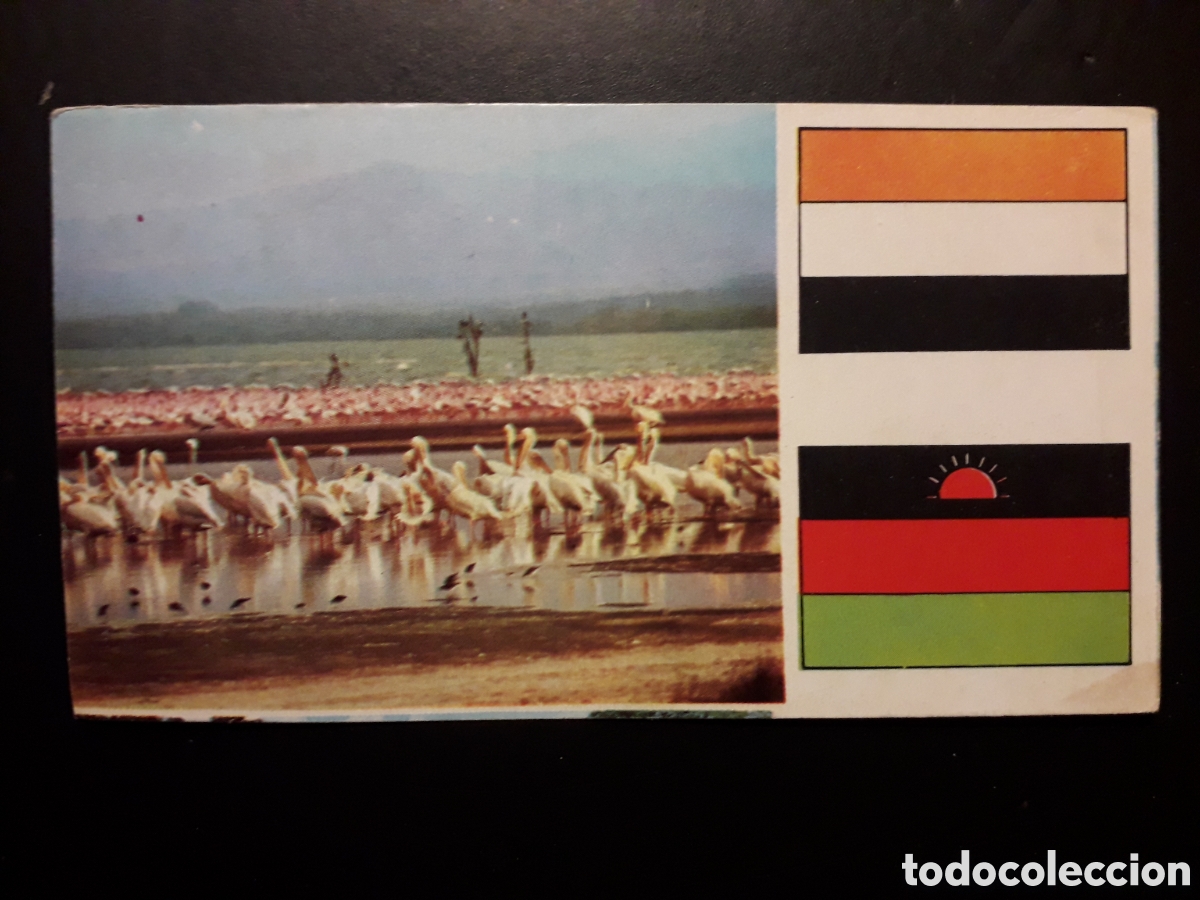 Coleccionismo Cromos antiguos: FLAMENCOS Y PEL&Iacute;CANOS, &Aacute;FRICA EL MUNDO CONTINENTES, BANDERAS N&deg; 43 LECHE RAM, PEDIDO M&Iacute;NIMO 3&euro;