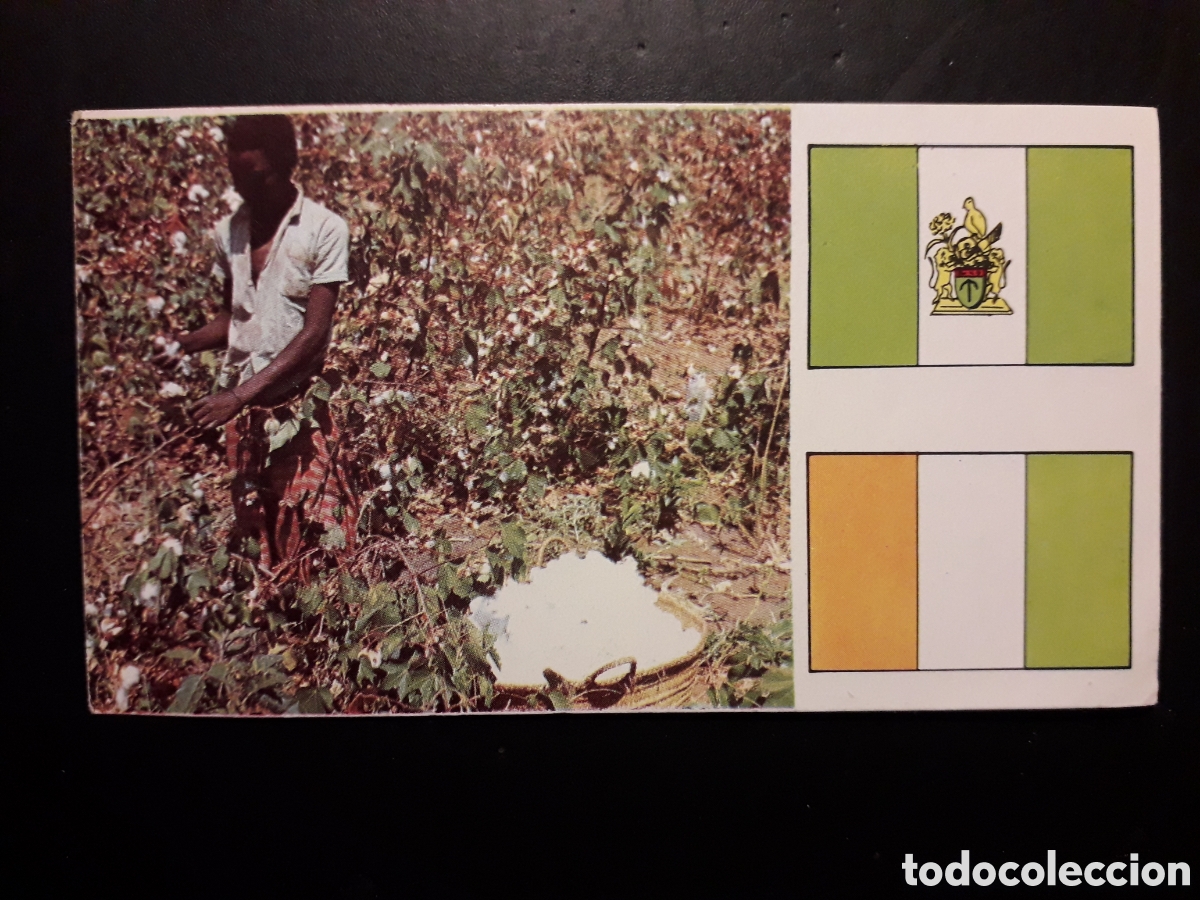 Coleccionismo Cromos antiguos: KENIA, ALGOD&Oacute;N, &Aacute;FRICA EL MUNDO CONTINENTES, BANDERAS N&deg; 67 LECHE RAM SIN PEGAR, PEDIDO M&Iacute;NIMO 3&euro;