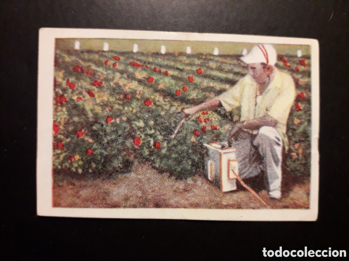 Coleccionismo Cromos antiguos: ABONOS, LA ENERG&Iacute;A AT&Oacute;MICA AL SERVICIO DE LA HUMANIDAD, AMATLLER N&deg; 35 SIN PEGAR PEDIDO M&Iacute;NIMO 3&euro;.
