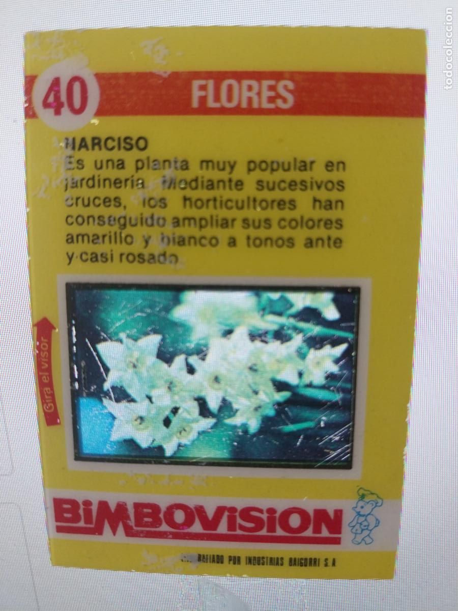 Coleccionismo Cromos antiguos: BIMBO BIMBOVISION NARCISO CROMO 40 A&Ntilde;OS 70 ORIGINAL FLORES