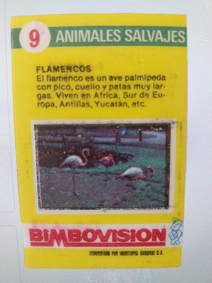 Coleccionismo Cromos antiguos: BIMBO BIMBOVISION FLAMENCOS CROMO 9 A&Ntilde;OS 70 ORIGINAL ANIMALES SALVAJES
