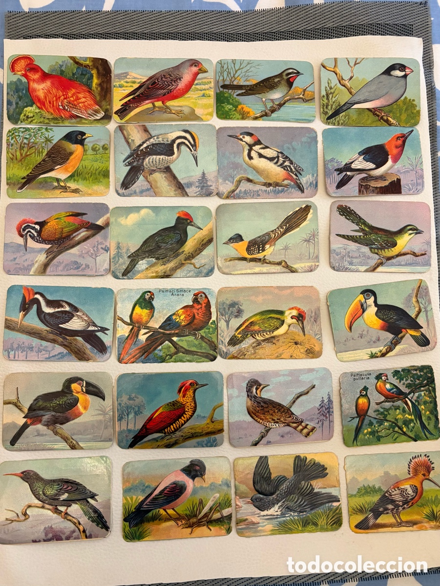 Coleccionismo cromos antiguos: Cromos La Primitiva Indiana - Foto 2