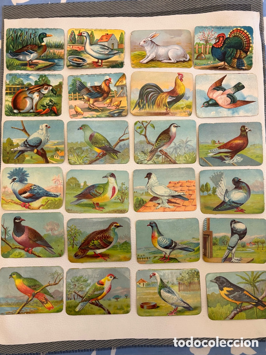 Coleccionismo Cromos antiguos: Cromos La Primitiva Indiana