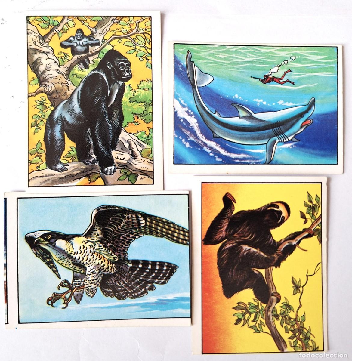 Coleccionismo Cromos antiguos: LOTE 4 CROMOS LOS RECORDS DE EDITORIAL ROS A&Ntilde;OS 80 - NUEVOS SIN USAR