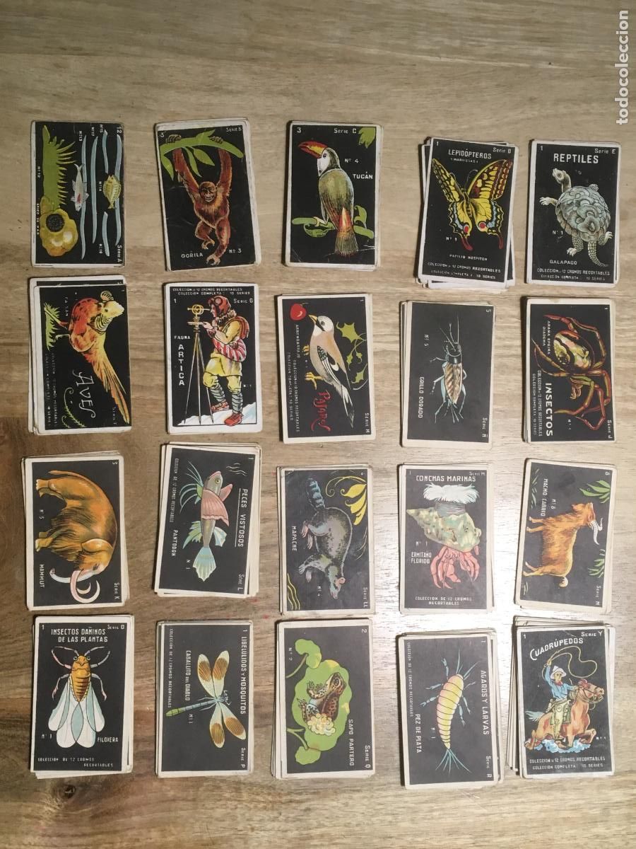 Coleccionismo Cromos antiguos: historia natural chocolates guillen 166 cromos nunca pegados muy buen estado coleccion muy dificil