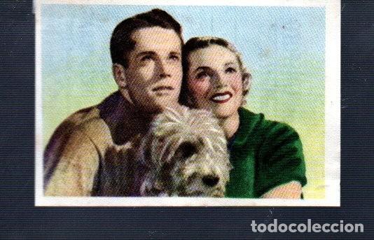 Coleccionismo Cromos antiguos: CROMO CINE FOTO EDITORIAL BRUGUERA HOJA E- 11 A N&ordm; 3 ANNABELLA DEL A&Ntilde;O 43