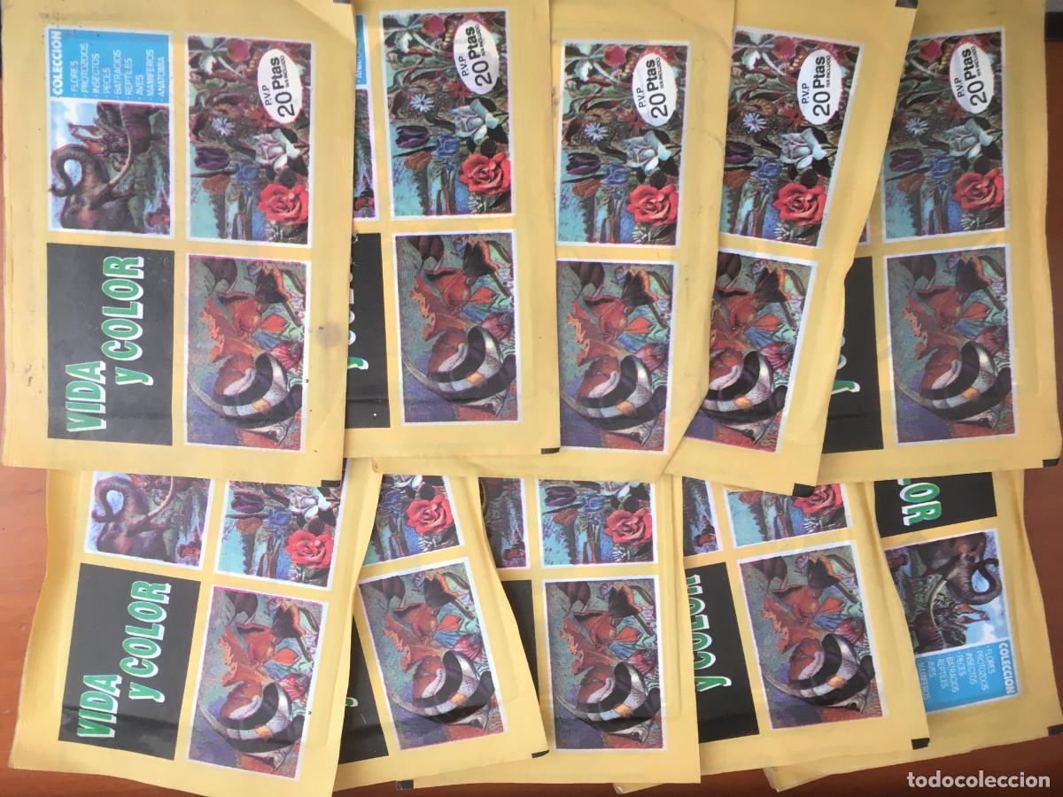 Collectable Antique Stickers: vida y color editorial comicromo lote 10 sobres de cromos sin abrir cerrados