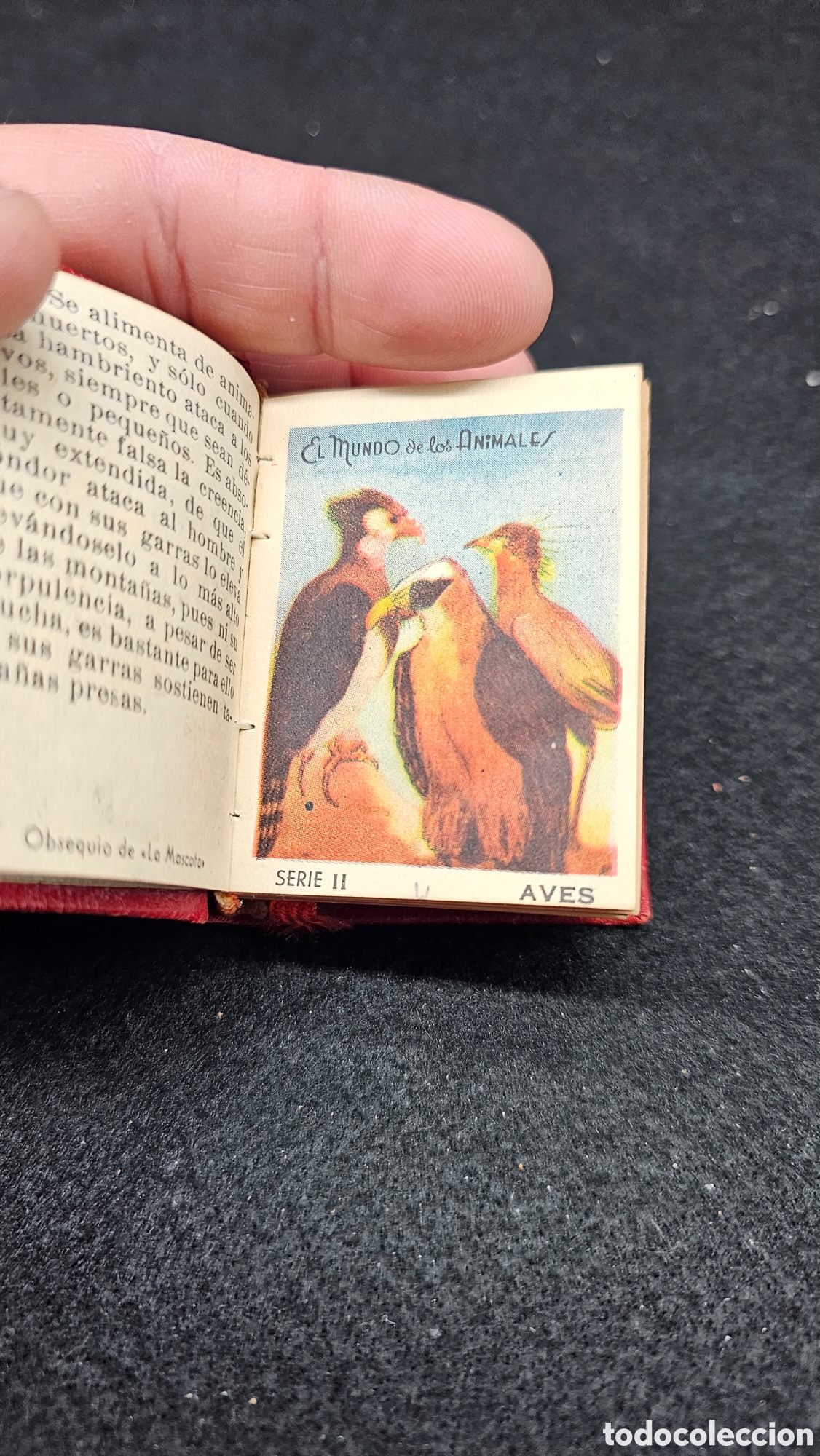 Collectable Antique Stickers: Antiguos cromos de la Mascota EL MUNDO DE LOS ANIMALES ( aves)