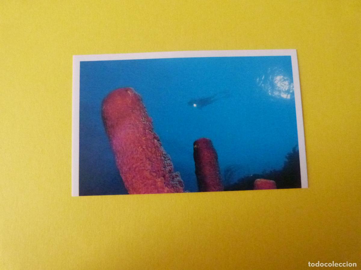 Coleccionismo Cromos antiguos: CROMO COLECCION PEGA AVENTURAS EN LOS OCEANOS SIN PEGAR N&ordm; 14 A&Ntilde;O 20?? ALBUM PEGA AVENTURA.. MASYMAS
