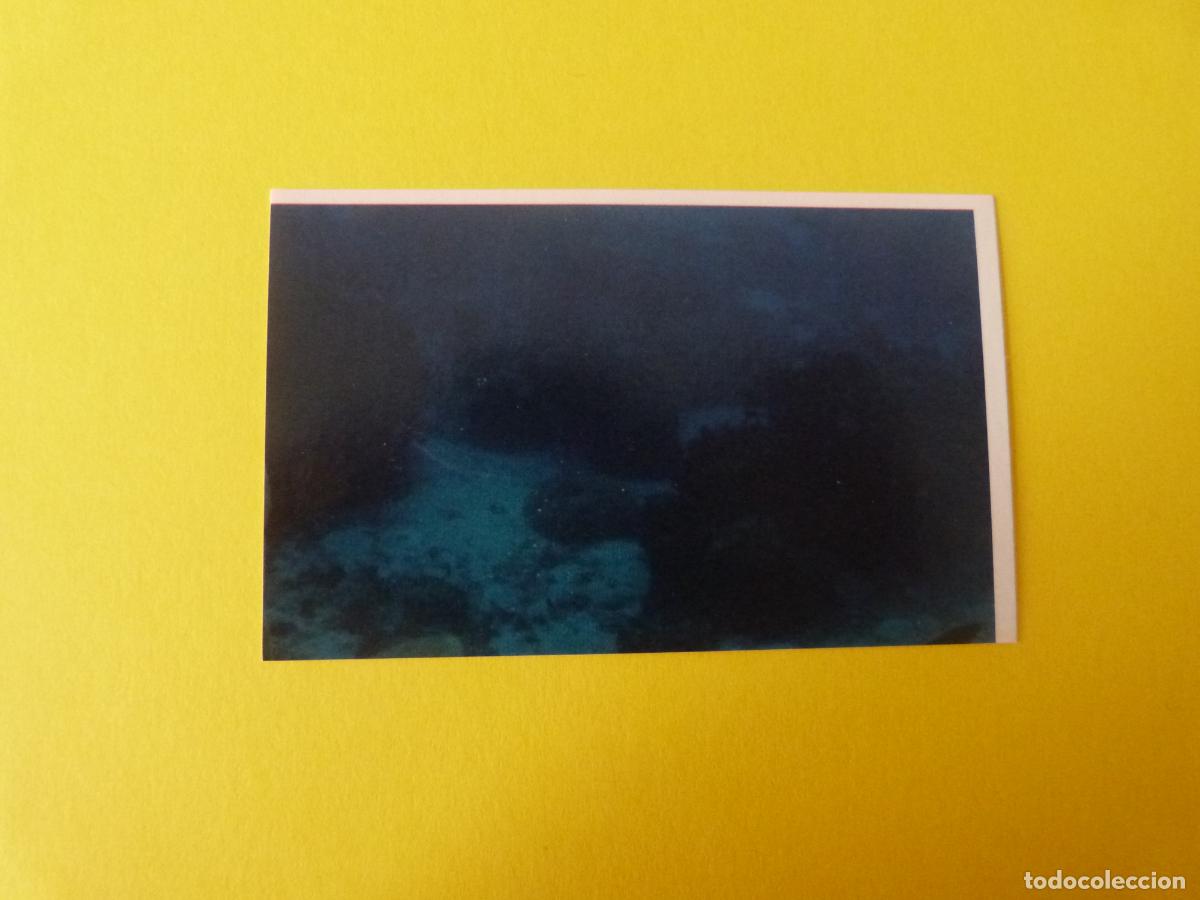 Coleccionismo Cromos antiguos: CROMO COLECCION PEGA AVENTURAS EN LOS OCEANOS SIN PEGAR N&ordm; 23 A&Ntilde;O 20?? ALBUM PEGA AVENTURA.. MASYMAS