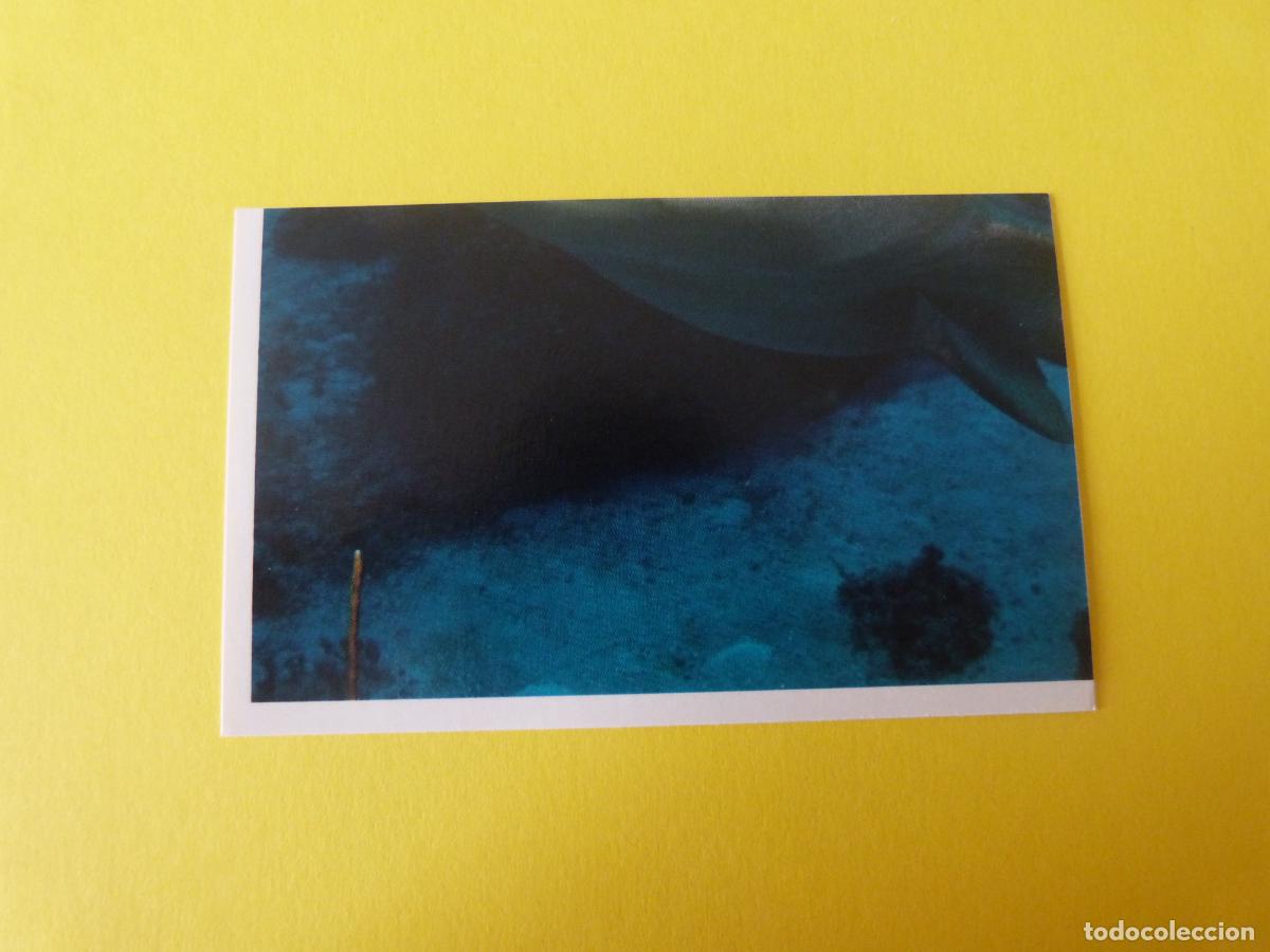 Coleccionismo Cromos antiguos: CROMO COLECCION PEGA AVENTURAS EN LOS OCEANOS SIN PEGAR N&ordm; 24 A&Ntilde;O 20?? ALBUM PEGA AVENTURA.. MASYMAS