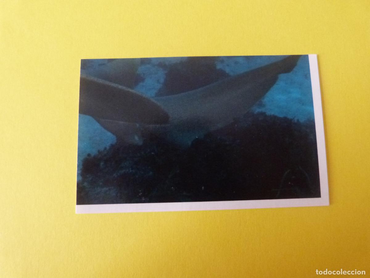 Coleccionismo Cromos antiguos: CROMO COLECCION PEGA AVENTURAS EN LOS OCEANOS SIN PEGAR N&ordm; 25 A&Ntilde;O 20?? ALBUM PEGA AVENTURA.. MASYMAS