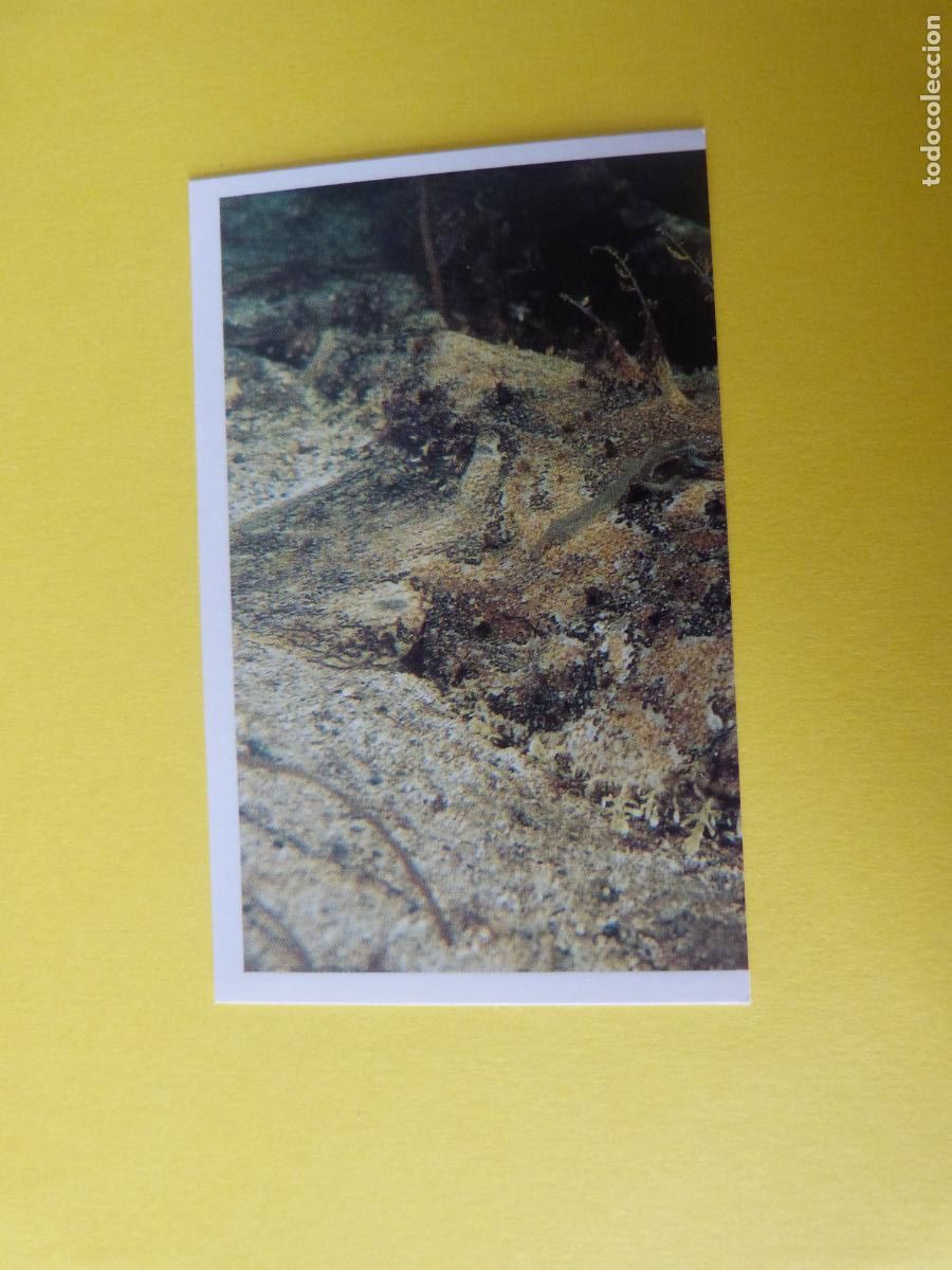 Coleccionismo Cromos antiguos: CROMO COLECCION PEGA AVENTURAS EN LOS OCEANOS SIN PEGAR N&ordm; 27 A&Ntilde;O 20?? ALBUM PEGA AVENTURA.. MASYMAS