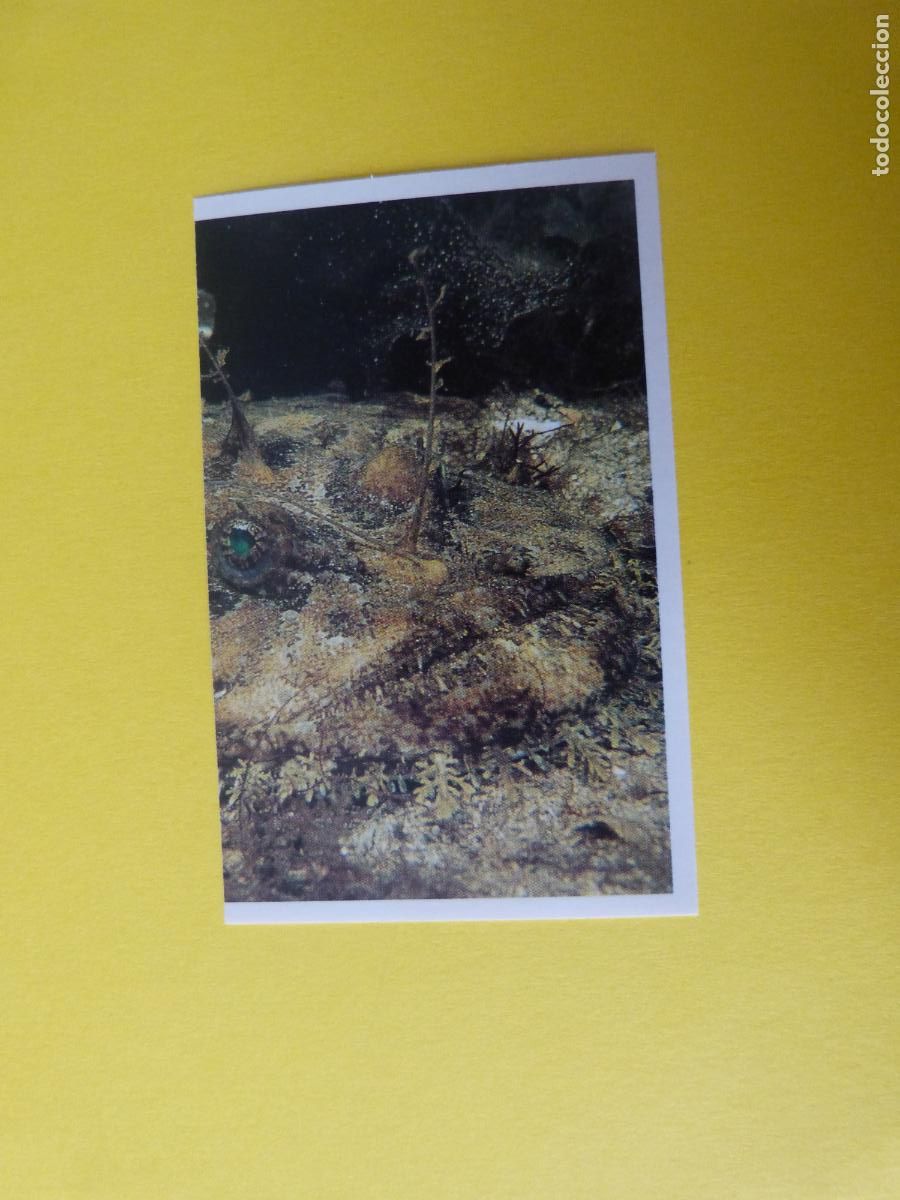 Coleccionismo Cromos antiguos: CROMO COLECCION PEGA AVENTURAS EN LOS OCEANOS SIN PEGAR N&ordm; 28 A&Ntilde;O 20?? ALBUM PEGA AVENTURA.. MASYMAS