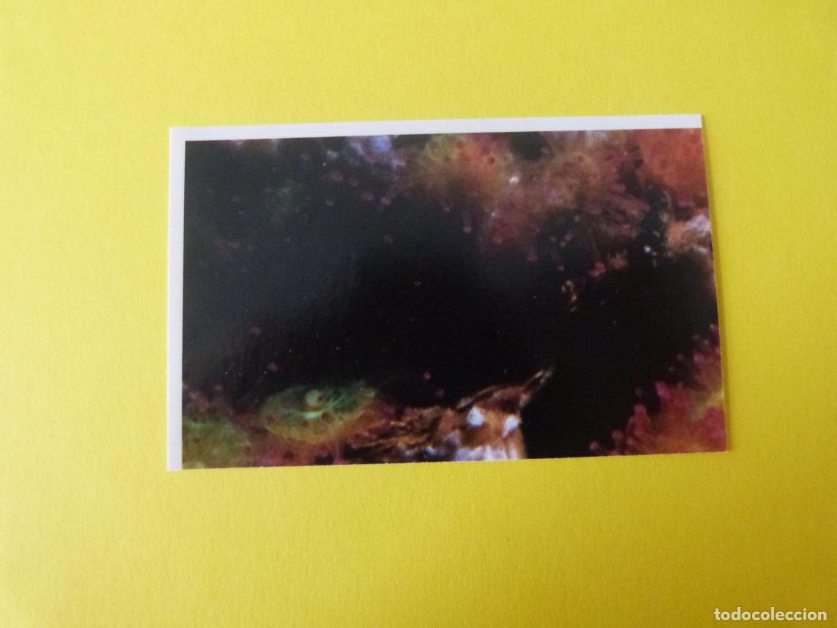Coleccionismo Cromos antiguos: CROMO COLECCION PEGA AVENTURAS EN LOS OCEANOS SIN PEGAR N&ordm; 36 A&Ntilde;O 20?? ALBUM PEGA AVENTURA.. MASYMAS