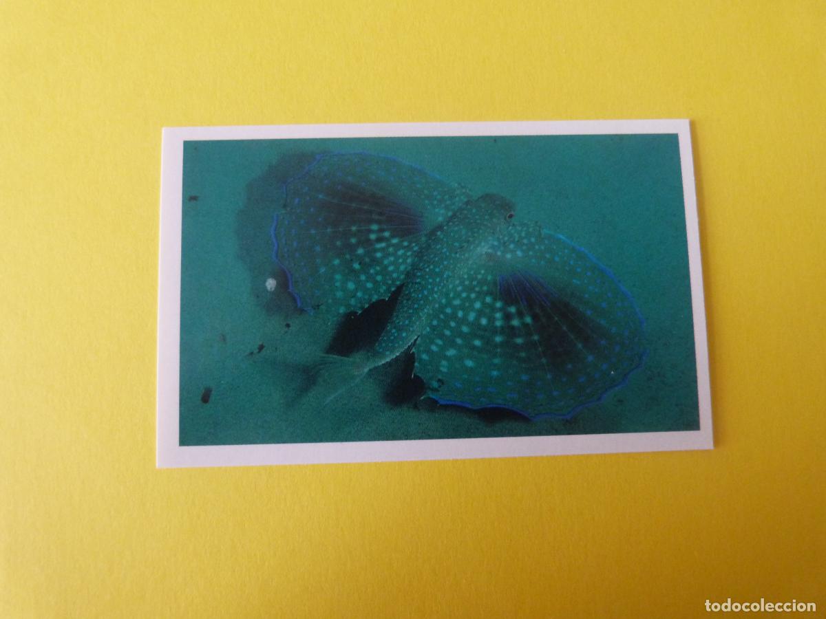 Coleccionismo Cromos antiguos: CROMO COLECCION PEGA AVENTURAS EN LOS OCEANOS SIN PEGAR N&ordm; 48 A&Ntilde;O 20?? ALBUM PEGA AVENTURA.. MASYMAS