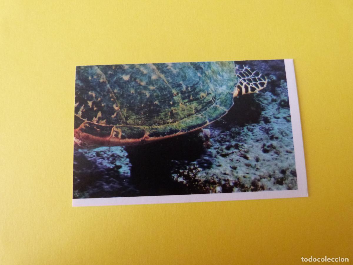 Coleccionismo Cromos antiguos: CROMO COLECCION PEGA AVENTURAS EN LOS OCEANOS SIN PEGAR N&ordm; 55 A&Ntilde;O 20?? ALBUM PEGA AVENTURA.. MASYMAS
