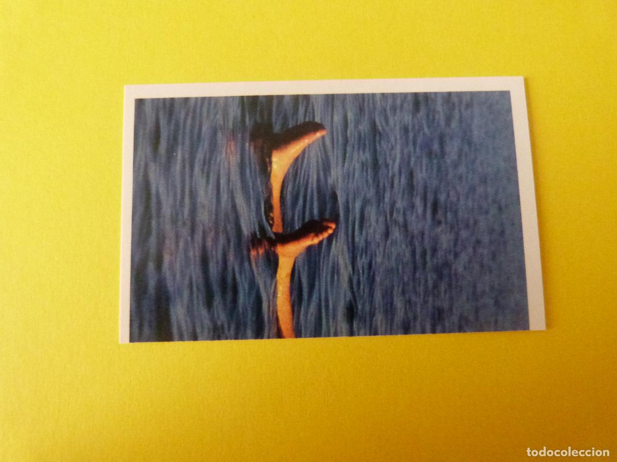 Coleccionismo Cromos antiguos: CROMO COLECCION PEGA AVENTURAS EN LOS OCEANOS SIN PEGAR N&ordm; 62 A&Ntilde;O 20?? ALBUM PEGA AVENTURA.. MASYMAS
