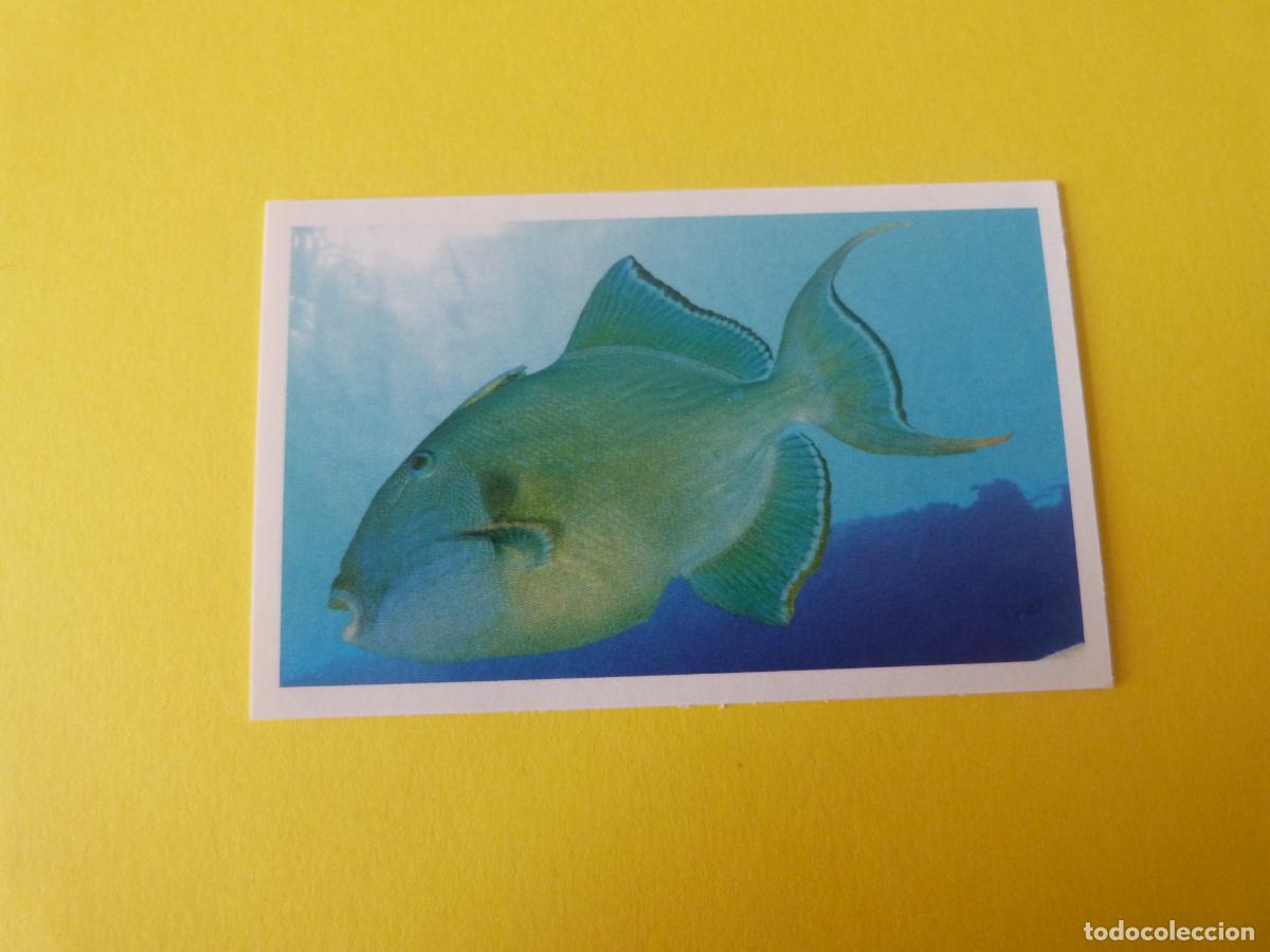 Coleccionismo Cromos antiguos: CROMO COLECCION PEGA AVENTURAS EN LOS OCEANOS SIN PEGAR N&ordm; 65 A&Ntilde;O 20?? ALBUM PEGA AVENTURA.. MASYMAS