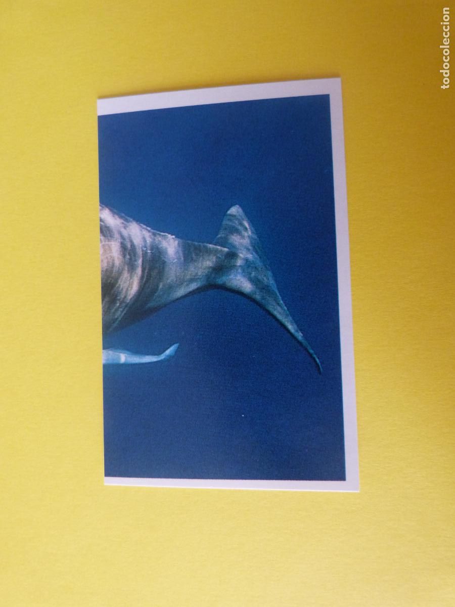 Coleccionismo Cromos antiguos: CROMO COLECCION PEGA AVENTURAS EN LOS OCEANOS SIN PEGAR N&ordm; 75 A&Ntilde;O 20?? ALBUM PEGA AVENTURA.. MASYMAS