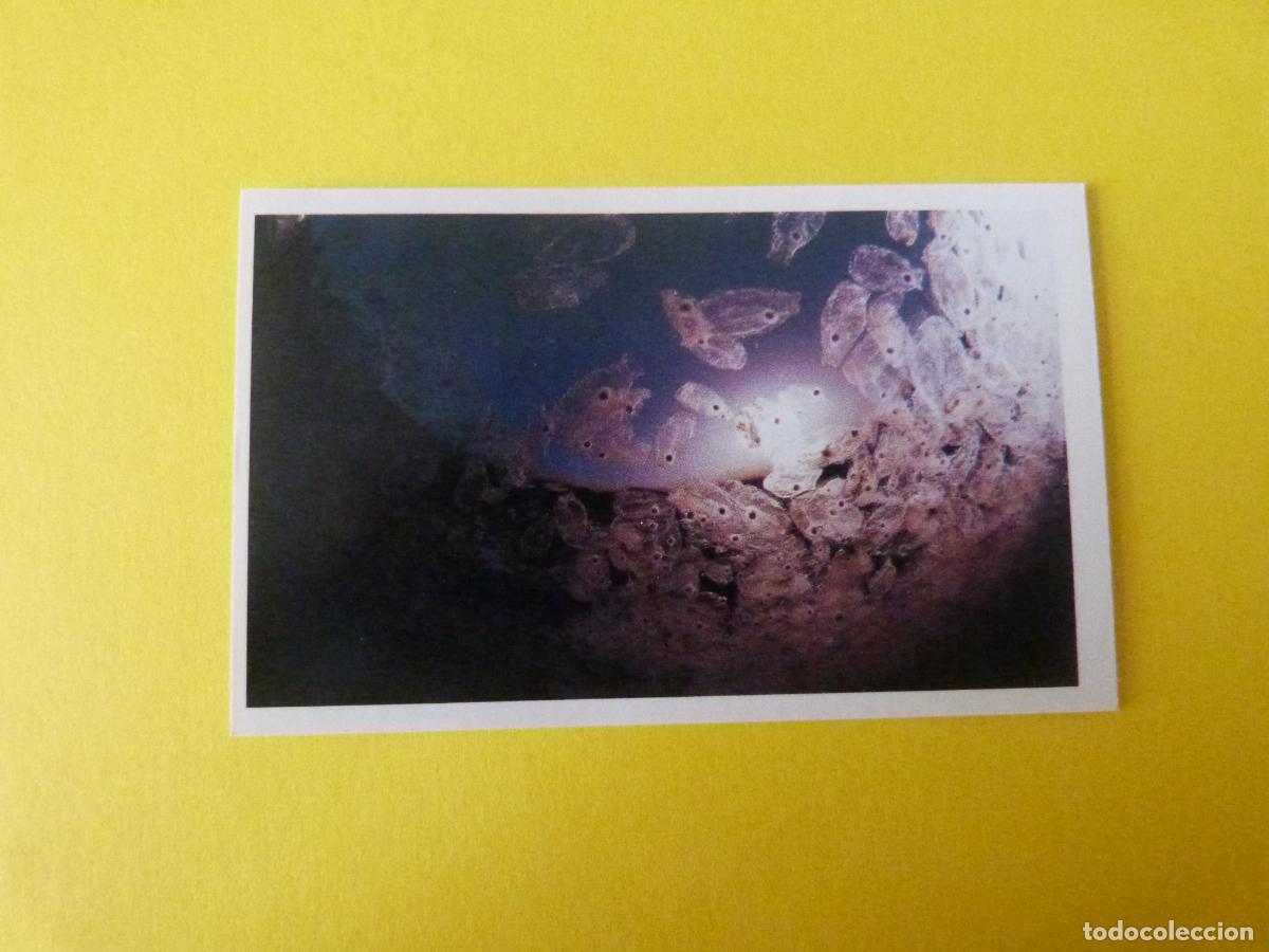 Coleccionismo Cromos antiguos: CROMO COLECCION PEGA AVENTURAS EN LOS OCEANOS SIN PEGAR N&ordm; 80 A&Ntilde;O 20?? ALBUM PEGA AVENTURA.. MASYMAS