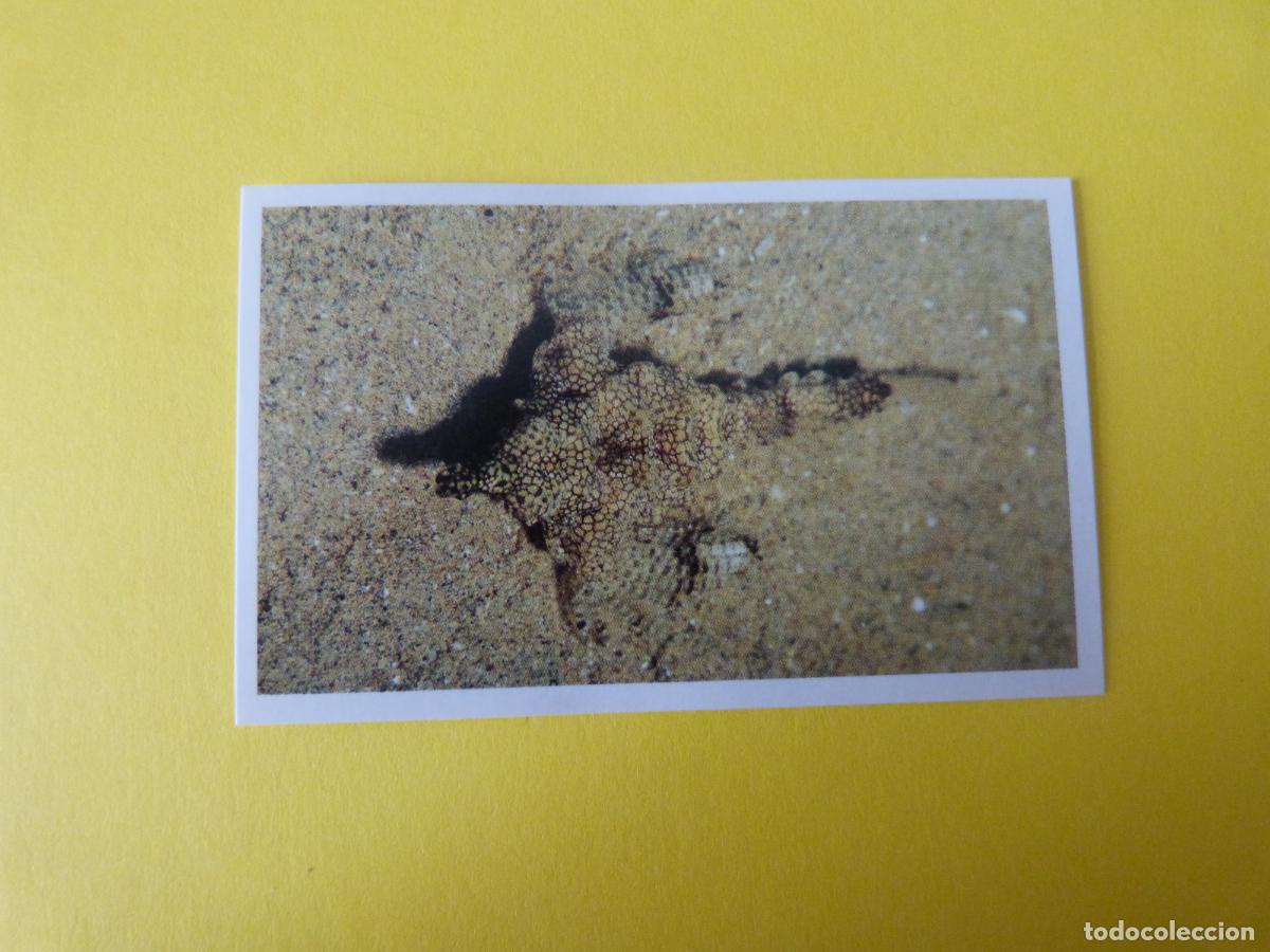 Coleccionismo Cromos antiguos: CROMO COLECCION PEGA AVENTURAS EN LOS OCEANOS SIN PEGAR N&ordm; 85 A&Ntilde;O 20?? ALBUM PEGA AVENTURA.. MASYMAS