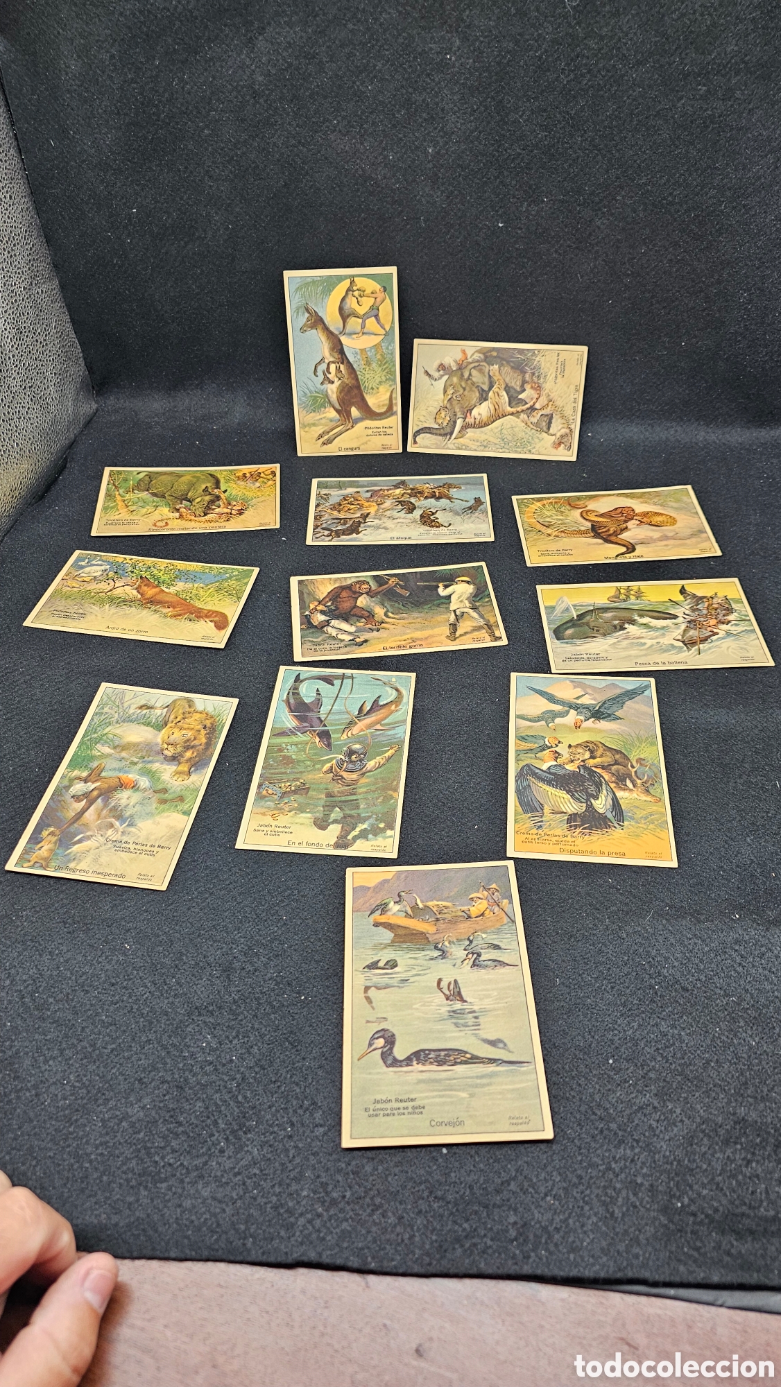 Coleccionismo Cromos antiguos: Tarjetas cromos antiguos .......