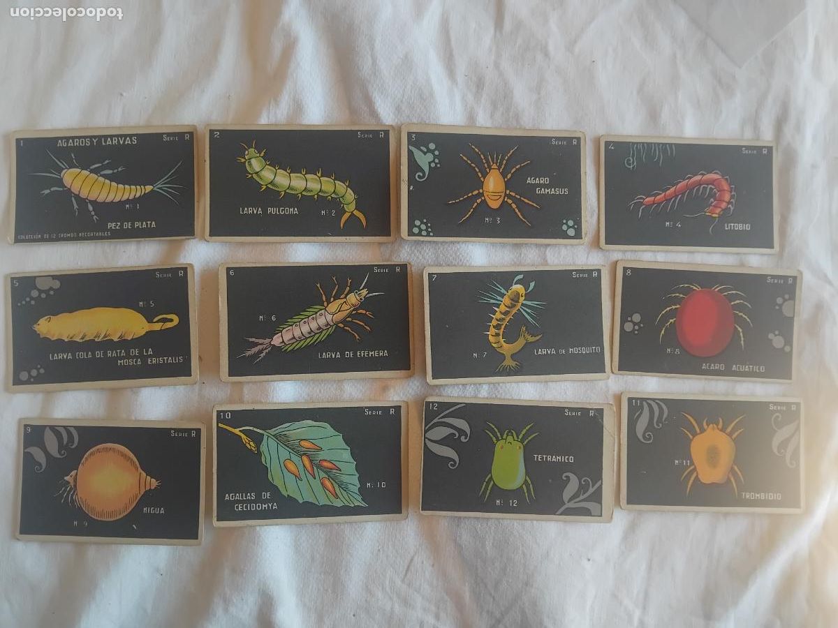 Coleccionismo Cromos antiguos: AGAROS Y LARVAS SERIE R COLECCION COMPLETA DE 12 CROMOS. CHOCOLATES GUILLEM.