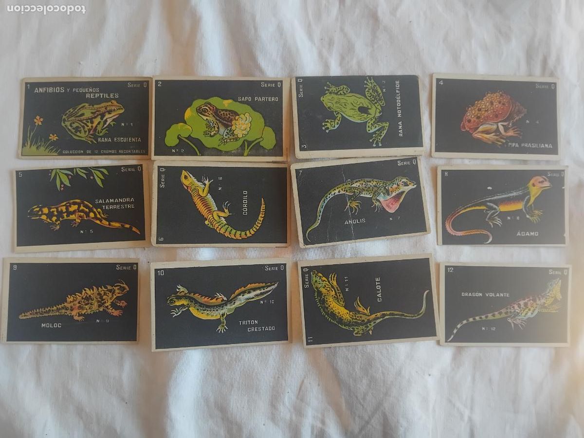 Coleccionismo Cromos antiguos: ANFIBIOS Y PEQUE&Ntilde;OS REPTILES SERIE Q COLECCION COMPLETA DE 12 CROMOS. CHOCOLATES GUILLEM.