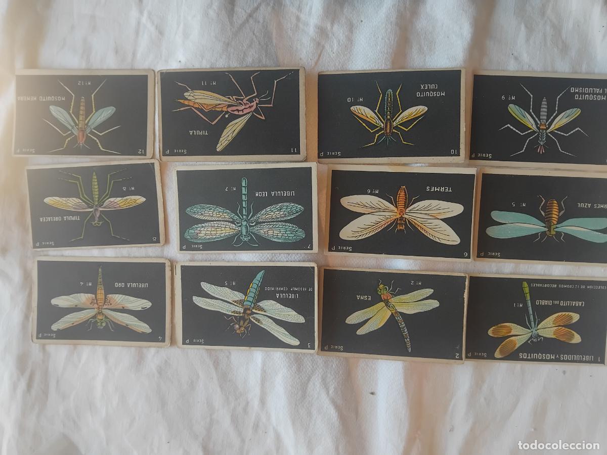 Coleccionismo Cromos antiguos: LIBELULIDOS Y MOSQUITOS SERIE P COLECCION COMPLETA DE 12 CROMOS. CHOCOLATES GUILLEM.