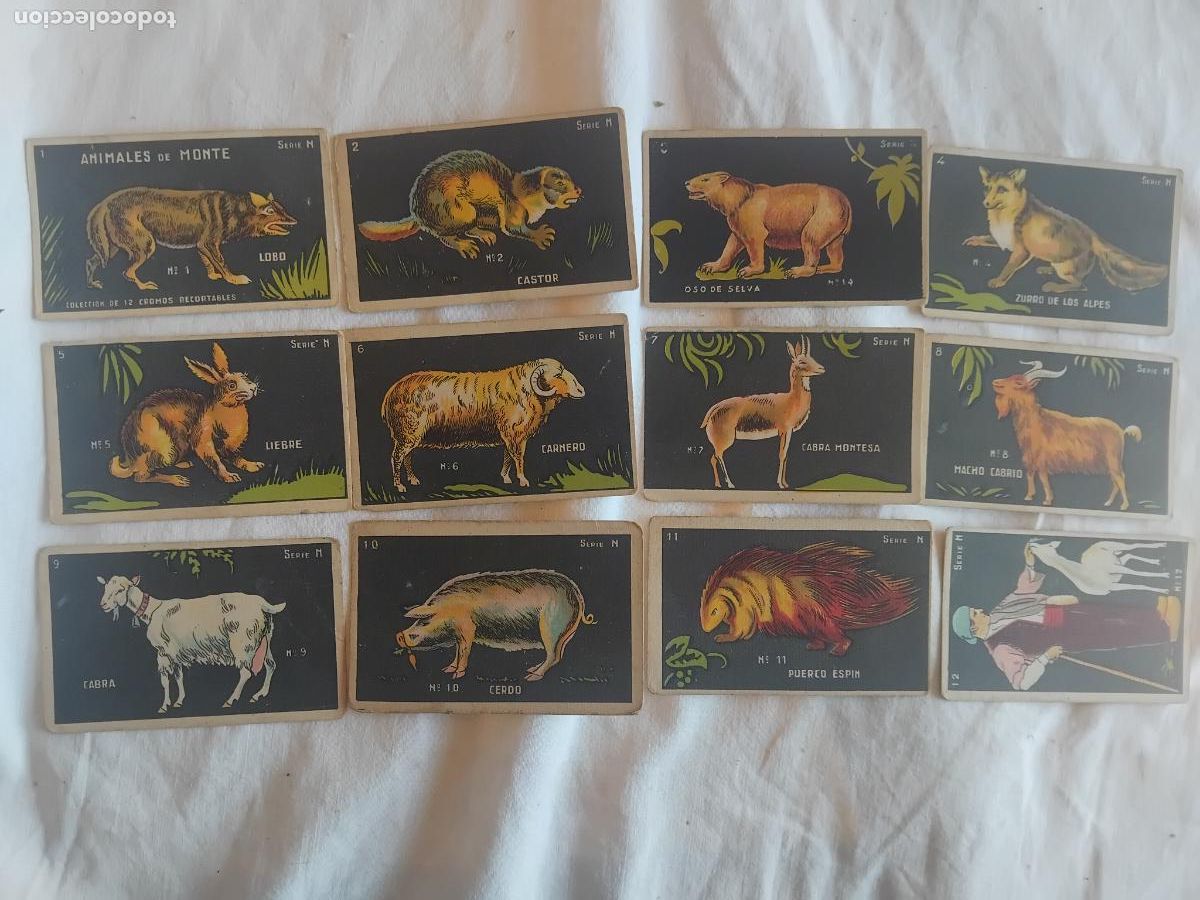 Coleccionismo Cromos antiguos: ANIMALES DE MONTE SERIE N COLECCION COMPLETA DE 12 CROMOS. CHOCOLATES GUILLEM.
