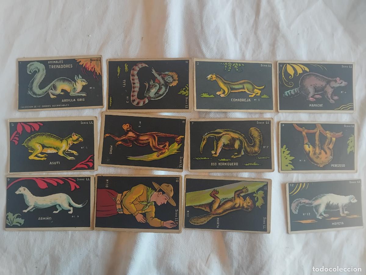 Coleccionismo Cromos antiguos: ANIMALES TREPADORES SERIE LL COLECCION COMPLETA DE 12 CROMOS. CHOCOLATES GUILLEM.