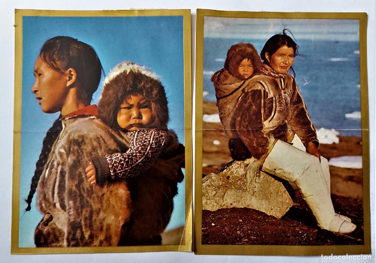 Coleccionismo Cromos antiguos: LOTE 2 CROMOS DOBLES - RAZAS- BANDERAS-ESCUDOS- EDICIONES ESTE 1971 - GROENLANDIA - DESP. ALBUM