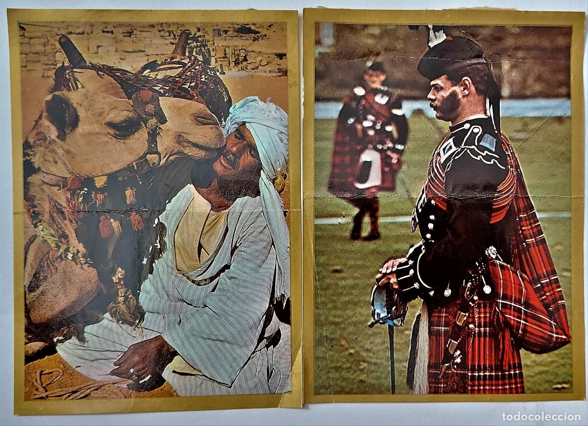 Coleccionismo cromos antiguos: LOTE 2 CROMOS DOBLES - RAZAS- BANDERAS-ESCUDOS- EDICIONES ESTE 1971 - R.UNIDO/EGIPTO - DESP. ALBUM
